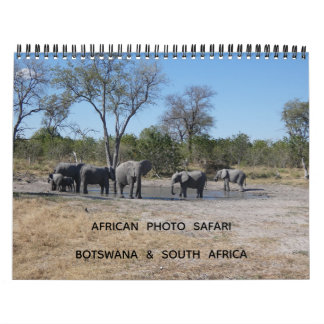 AFRIKANISCHE FOTO-SAFARI - BOTSWANA & SÜDAFRIKA KALENDER
