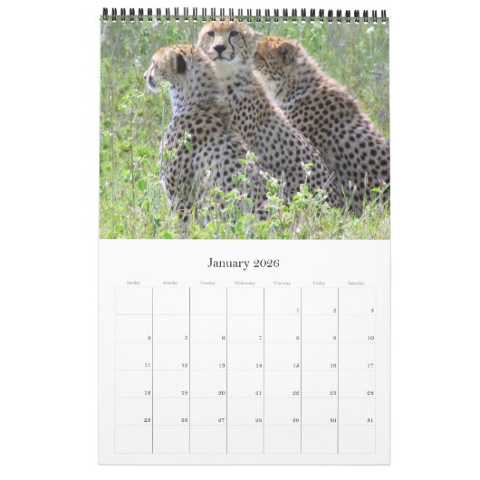 afrikanische Fotosafari 2025 Kalender (Jan 2026)