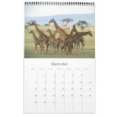 afrikanische Fotosafari 2025 Kalender (Mär 2026)