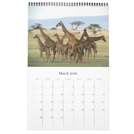 afrikanische Fotosafari 2025 Kalender (Mär 2026)