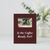 Afrikanische Freunde des grauen und kaiken Kaffees Postkarte (Stehend Vorderseite)