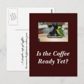 Afrikanische Freunde des grauen und kaiken Kaffees Postkarte (Vorne/Hinten)