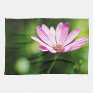 Afrikanische Gänseblümchen-Blumenfotografie Handtuch