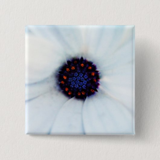 Afrikanische Gänseblümchen Button (Vorderseite)