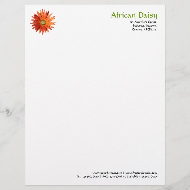 Afrikanische Gänseblume Briefbogen (Vorderseite)
