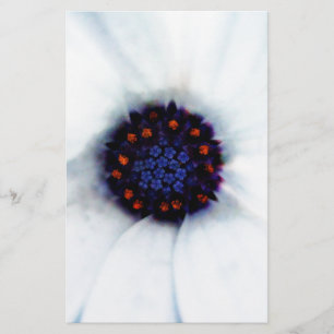 Afrikanische Gänseblume Briefpapier