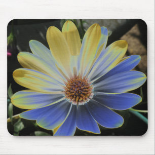 Afrikanische Gänseblume Lapis und Gold Mauspad
