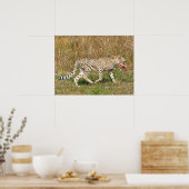 Afrikanische Geparden auf Gras Poster (Küche)