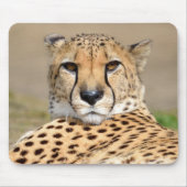 Afrikanische Geparden Mousepad (Vorne)