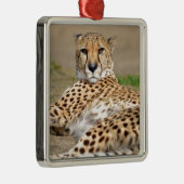 Afrikanische Geparden Ornament Aus Metall (Rechts)