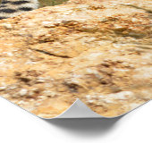 Afrikanische Geparden Poster (Ecke)