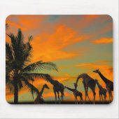 Afrikanische Giraffen Mousepad (Vorne)