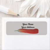 Afrikanische Grau Red Feather Rücksendeadressen-Au (Insitu)