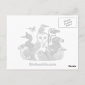 Afrikanische Grüne Taube Postkarte (Rückseite)