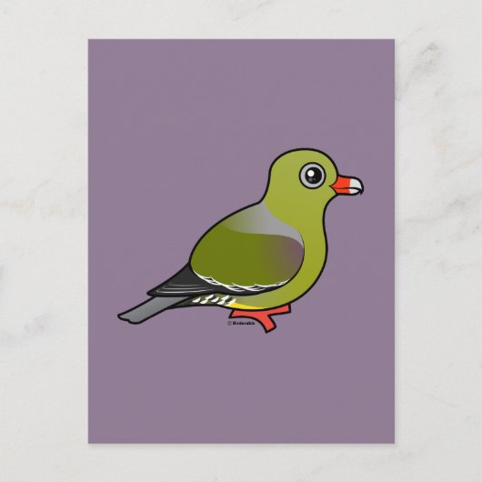 Afrikanische Grüne Taube Postkarte (Vorderseite)