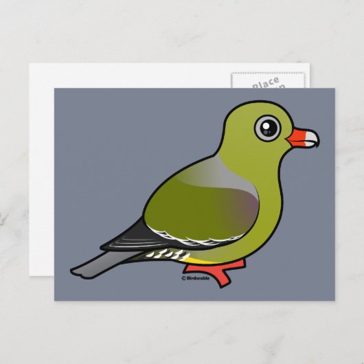 Afrikanische Grüne Taube Postkarte (Vorne/Hinten)