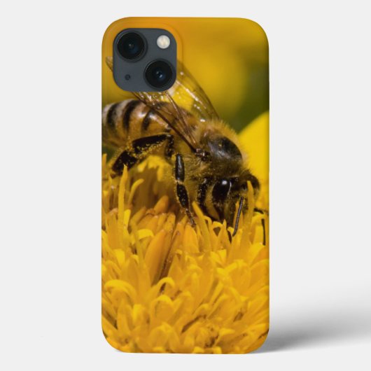 Afrikanische Honig-Biene mit dem Case-Mate iPhone Hülle (Rückseite)