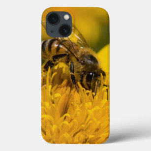 Afrikanische Honig-Biene mit dem Case-Mate iPhone Hülle