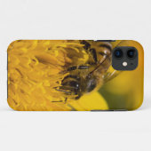 Afrikanische Honigbiene mit Pollensäcken Fütternd Case-Mate iPhone Hülle (Rückseite (Horizontal))