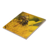 Afrikanische Honigbiene mit Pollensäcken Fütternd Fliese (Seite)