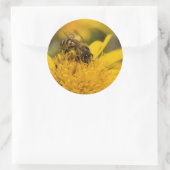 Afrikanische Honigbiene mit Pollensäcken Fütternd Runder Aufkleber (Tasche)