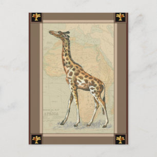 Afrikanische Karte und Giraffe
