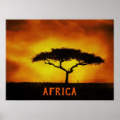 Afrikanische Landschaft Acacia Tree Poster (Vorne)