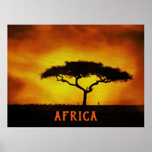 Afrikanische Landschaft Acacia Tree Poster