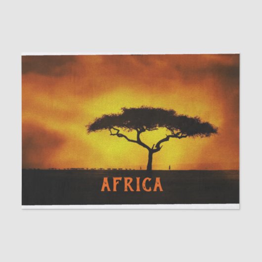Afrikanische Landschaft Acacia Tree Seidenpapier (Vorderseite)