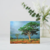 Afrikanische Landschaft Krüger Nationalpark Postkarte (Stehend Vorderseite)
