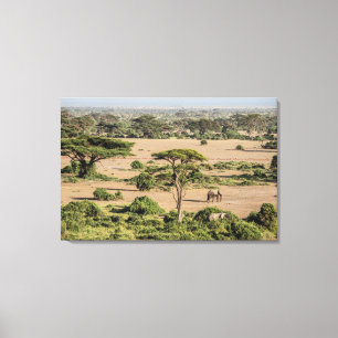 Afrikanische Landschaft mit Elefant Leinwanddruck