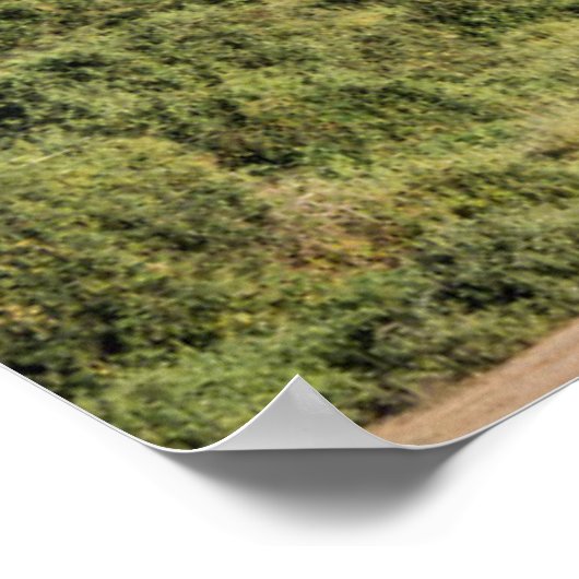 Afrikanische Landschaft mit Elefant Poster (Ecke)