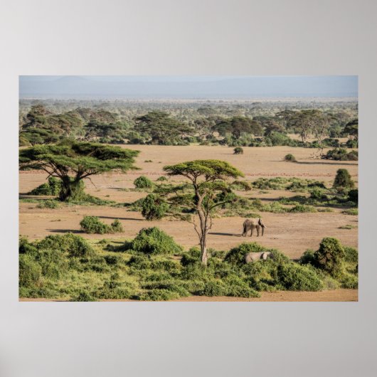 Afrikanische Landschaft mit Elefant Poster (Vorne)