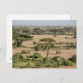Afrikanische Landschaft mit Elefant Postkarte (Vorne/Hinten)
