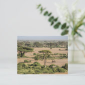 Afrikanische Landschaft mit Elefant Postkarte (Stehend Vorderseite)