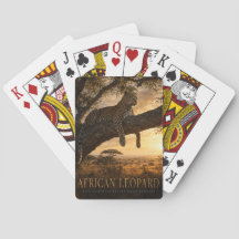 Afrikanische Leoparden-Akazien-Savanne ANIMALS Pok