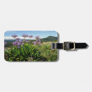 Afrikanische Lilie (Agapanthus praecox), Mossel Ba Gepäckanhänger