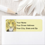 Afrikanische Lion (Insitu)