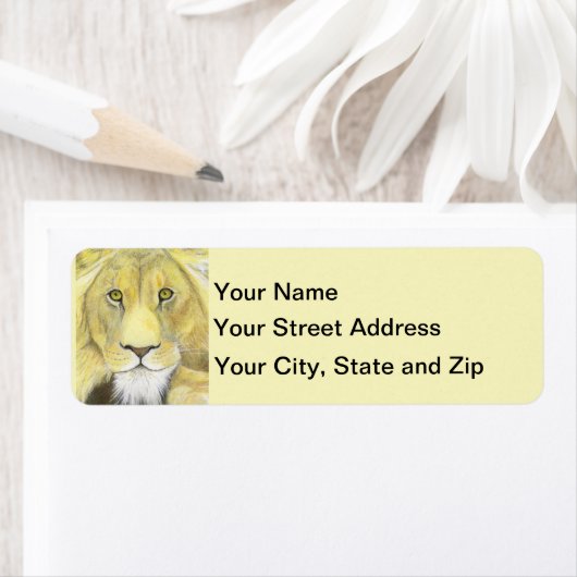 Afrikanische Lion (Insitu)