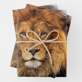 afrikanische Lion 1 Geschenkpapier Set (Beispiel)