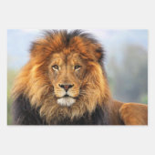 afrikanische Lion 1 Geschenkpapier Set (Vorderseite 3)
