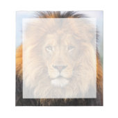 afrikanische Lion 1 Notizblock (Vorderseite)