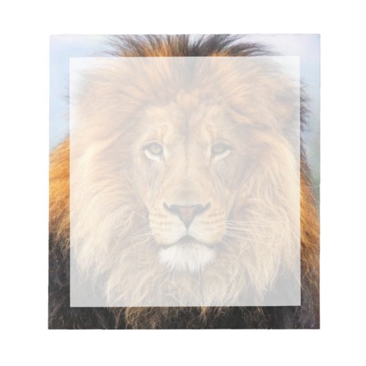 afrikanische Lion 1 Notizblock (Vorderseite)