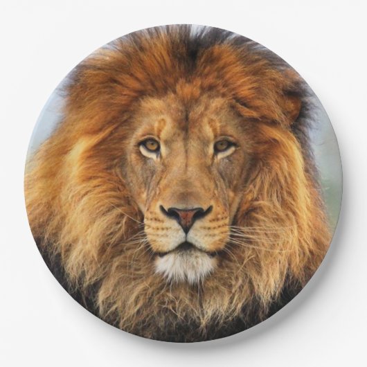 afrikanische Lion 1 Pappteller (Vorderseite)