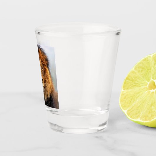 afrikanische Lion 1 Schnapsglas (Rechts)