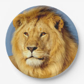 afrikanische Lion 2 Pappteller (Vorderseite)