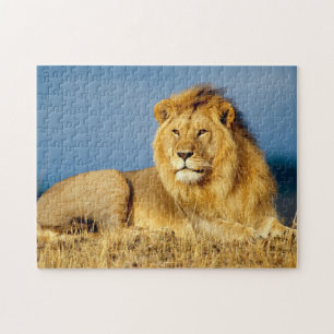 afrikanische Lion 2 Puzzle