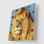 afrikanische Lion 2 Quadratische Wanduhr (Winkel)
