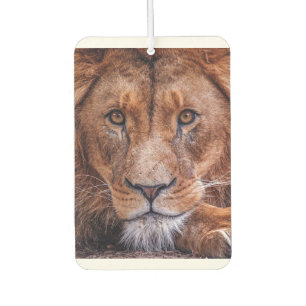 Afrikanische Lion Autolufterfrischer