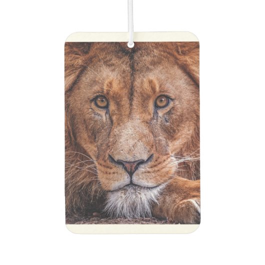 Afrikanische Lion Autolufterfrischer (Vorderseite)